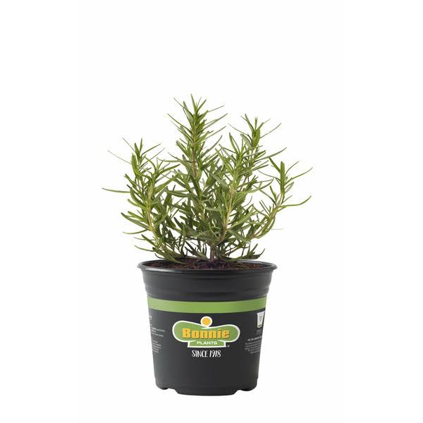 4-Gallon Organic Snap Combo - Each
