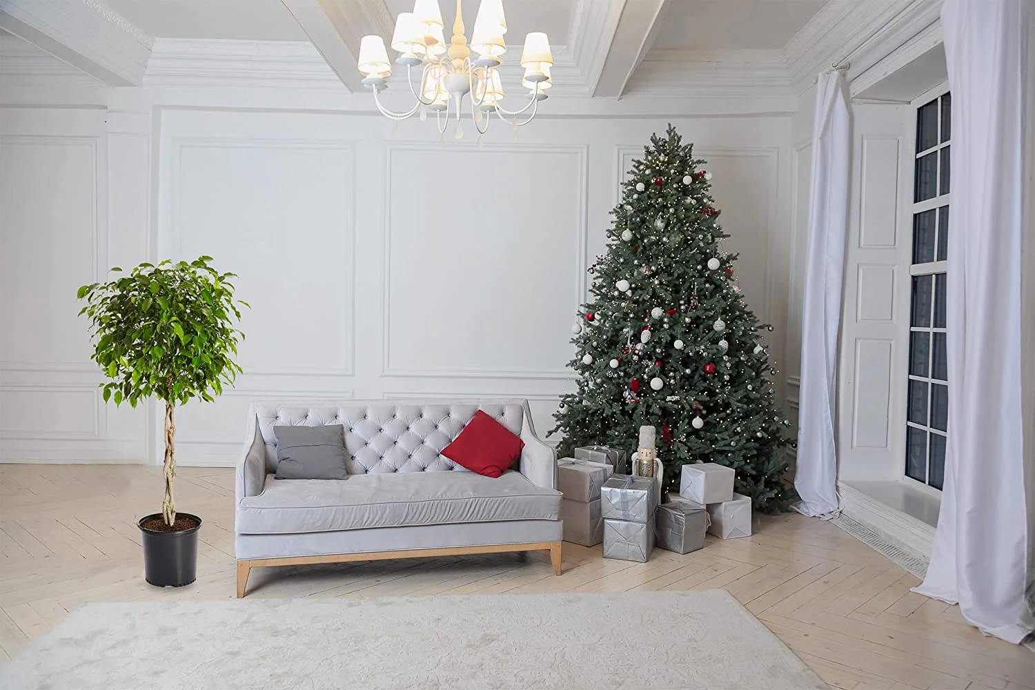 Braided Benjamina Ficus Tree, 3-4 ft. No Shipping to AZ, OR(3-4 ft.) - Image 5