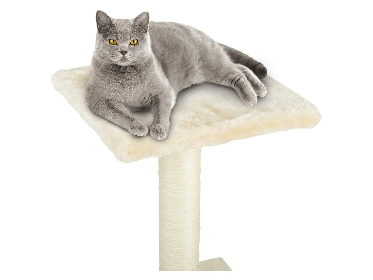 zoofari Arbre  chat, 87 x 36 x 36 cm