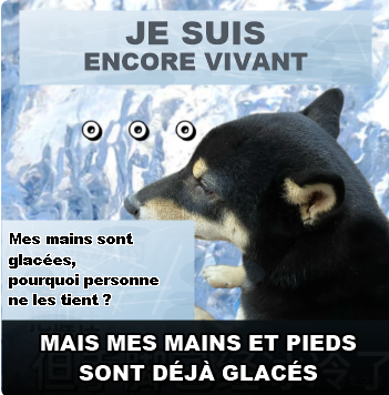Pasted Image