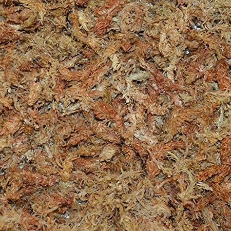 Sun Bulb Company Inc 50430 Better-Gro Sphagnum Moss, Growing Medium, 240 Grams