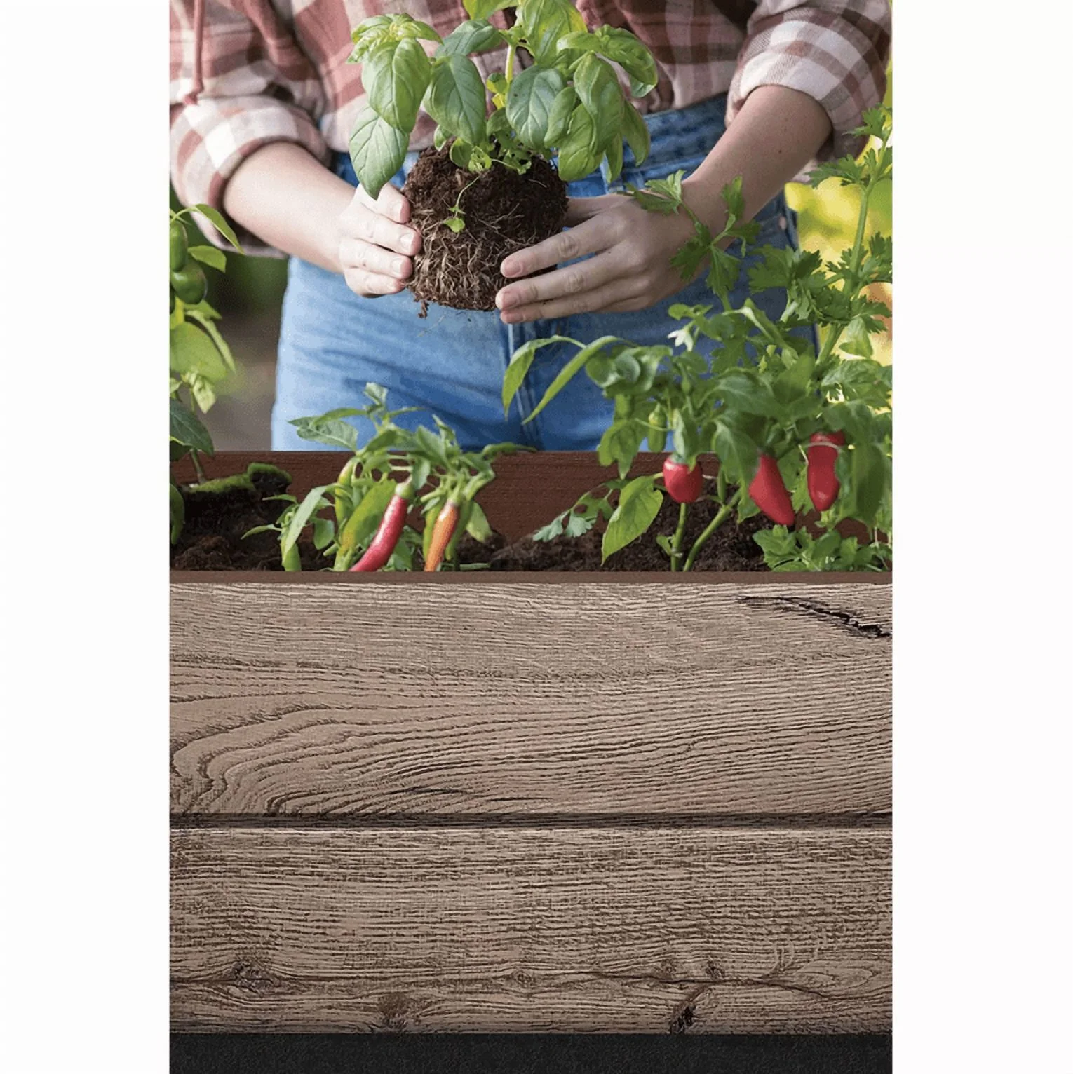 Keter Signature Collection 29 Gal. Resin Elevated Garden Bed