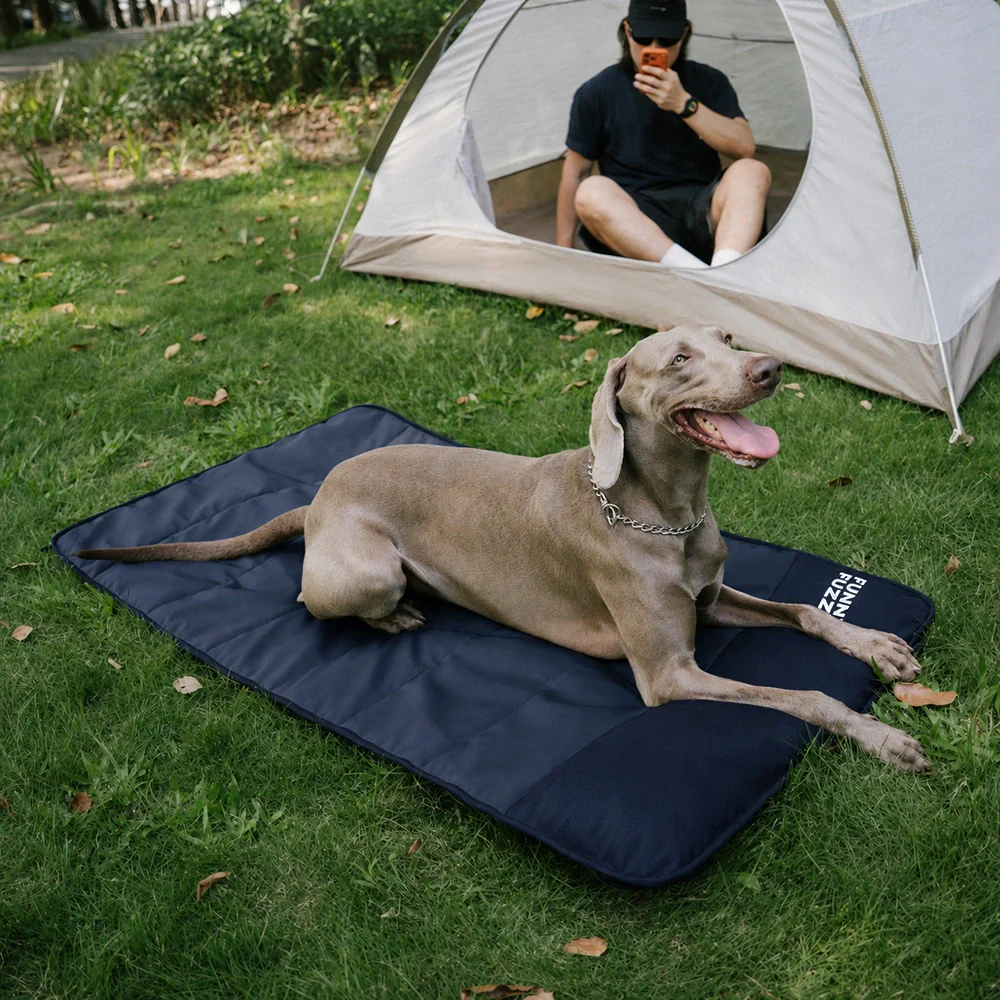 Foldable Elevated Dog Bed With Waterproof Mat-Urban Roaming