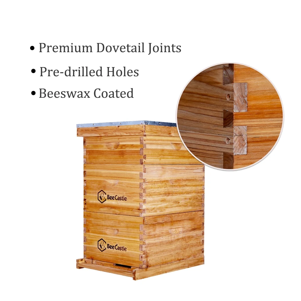 Bee Castle 10 - Frame Beeswaxed Complete Bee Hives Kit with 2 Deep Box and 1 Medium Box