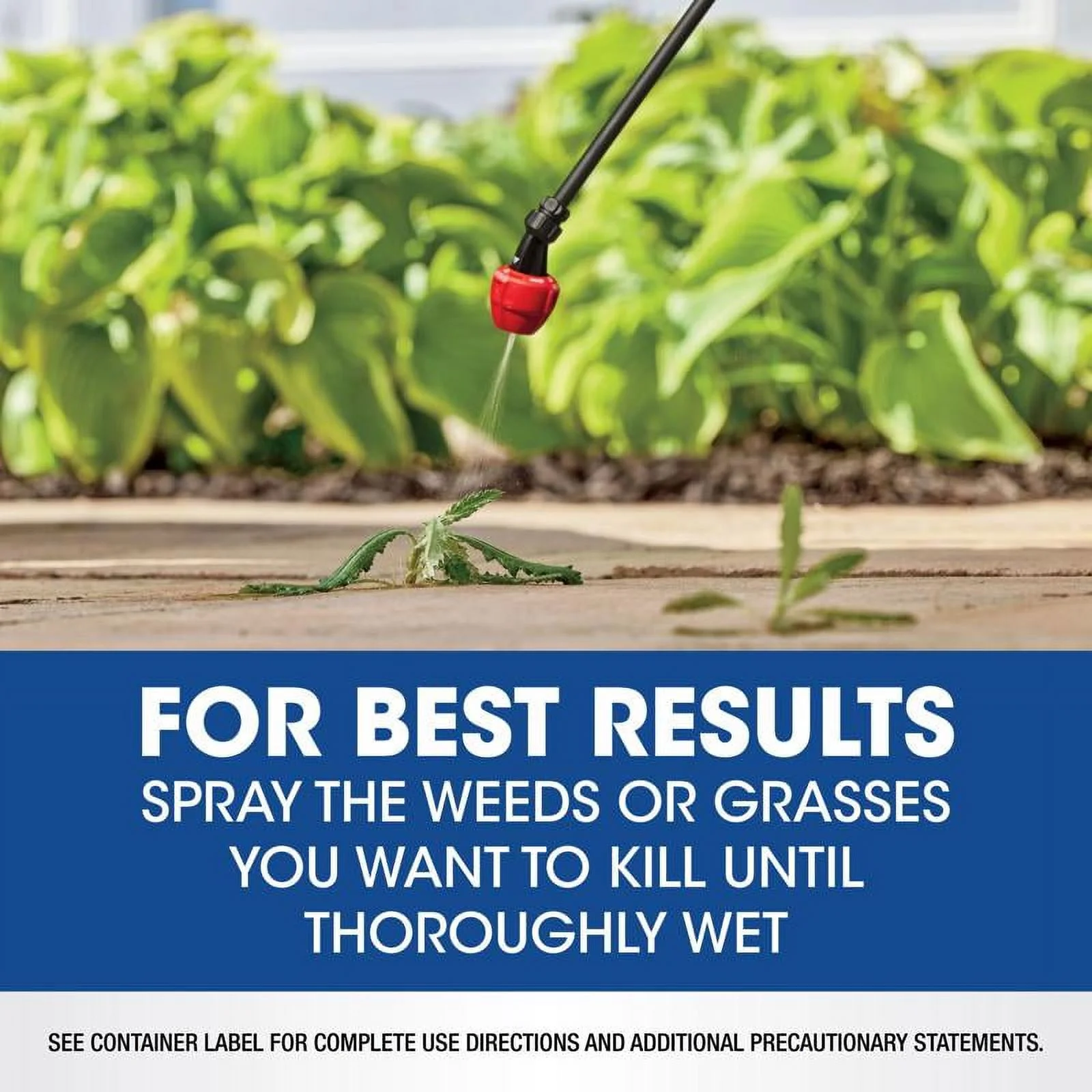 Weed Grass Killer? Concentrate, Use In Flower Beds and other areas of your yard, 1 gal.(1 gal) - Image 4