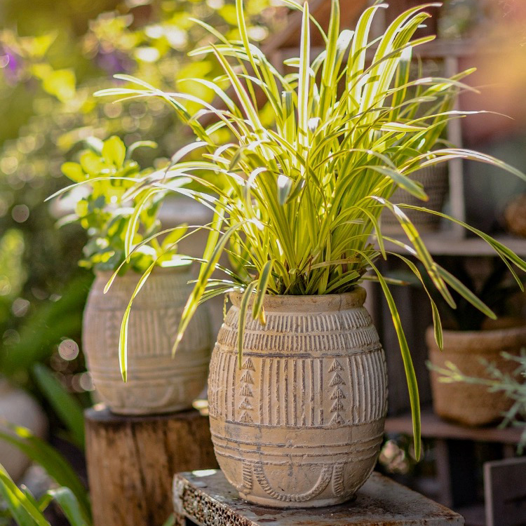 Vintage Home Decor Planter Garden Decoration Handicraft Embossed Cement Flower Pots & Planters