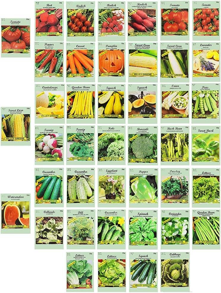Set of 43 Assorted Vegetable & Herb Seeds - 43 Varieties - Create A Deluxe Garden All Seeds Are Heirloom - 100% Non-GMO by Black Duck Brand