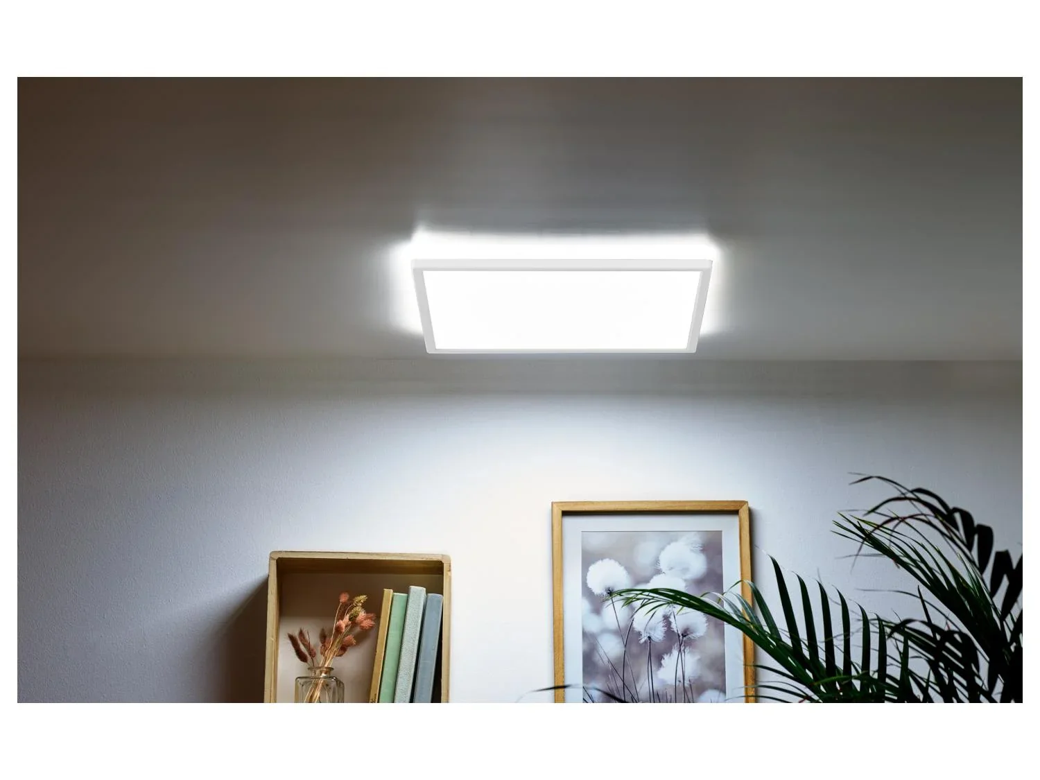 LIVARNO home Panneau LED avec variateur de blanc, 20,5 W