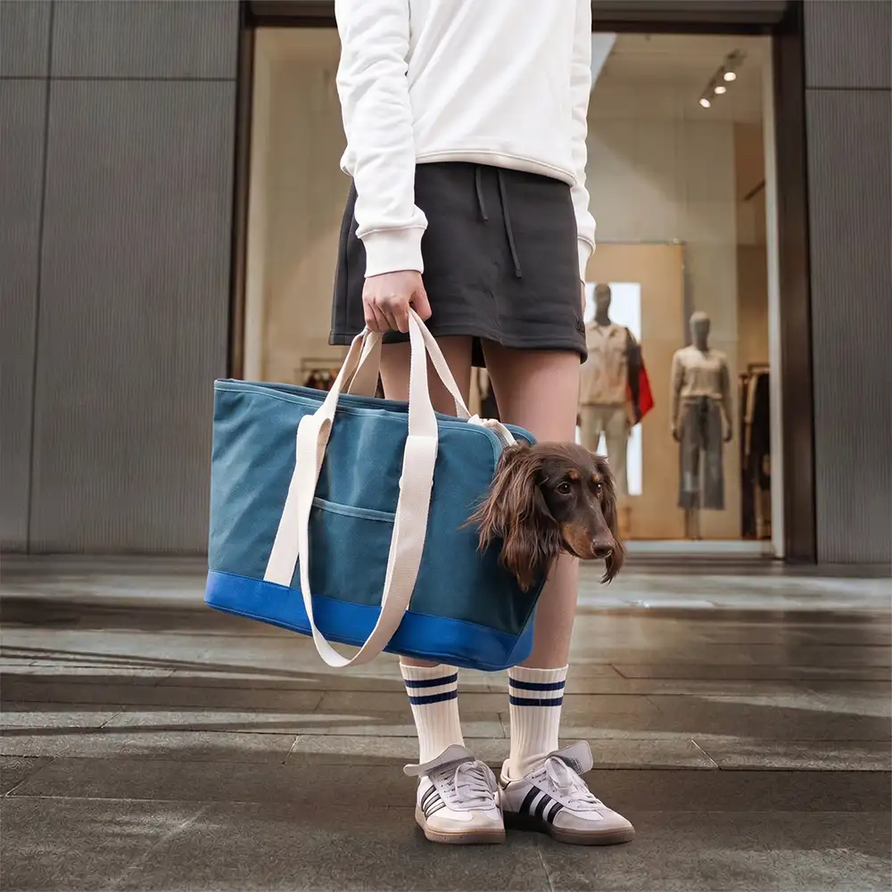 Sporty Stylish Portable Dog Cat Carrier Large Capacity Pet Carrier Bag For Travel and Vet