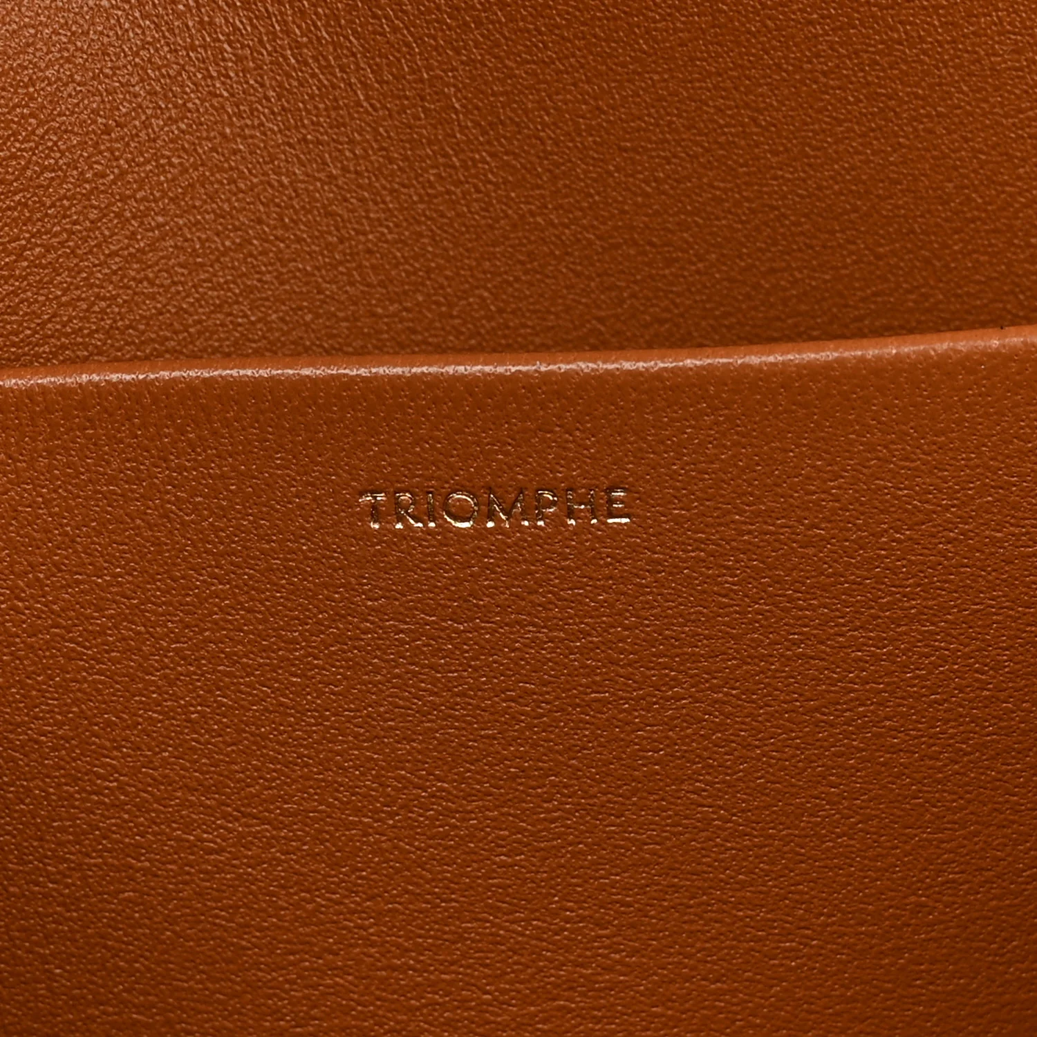 Natural Calfskin Medium Triomphe Tan