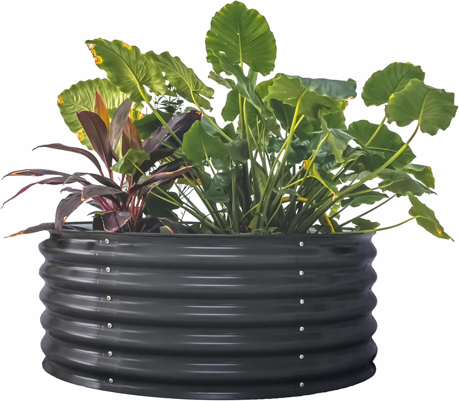 GFNXYI garden 17 Tall 42 Round Raised Garden Bed Metal Raised Bed Planter Box for Vegetables Flowers Patio, Modern Gray