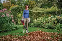 Souffleur de feuilles sans fil GE-UB 18/250 Li E-Solo