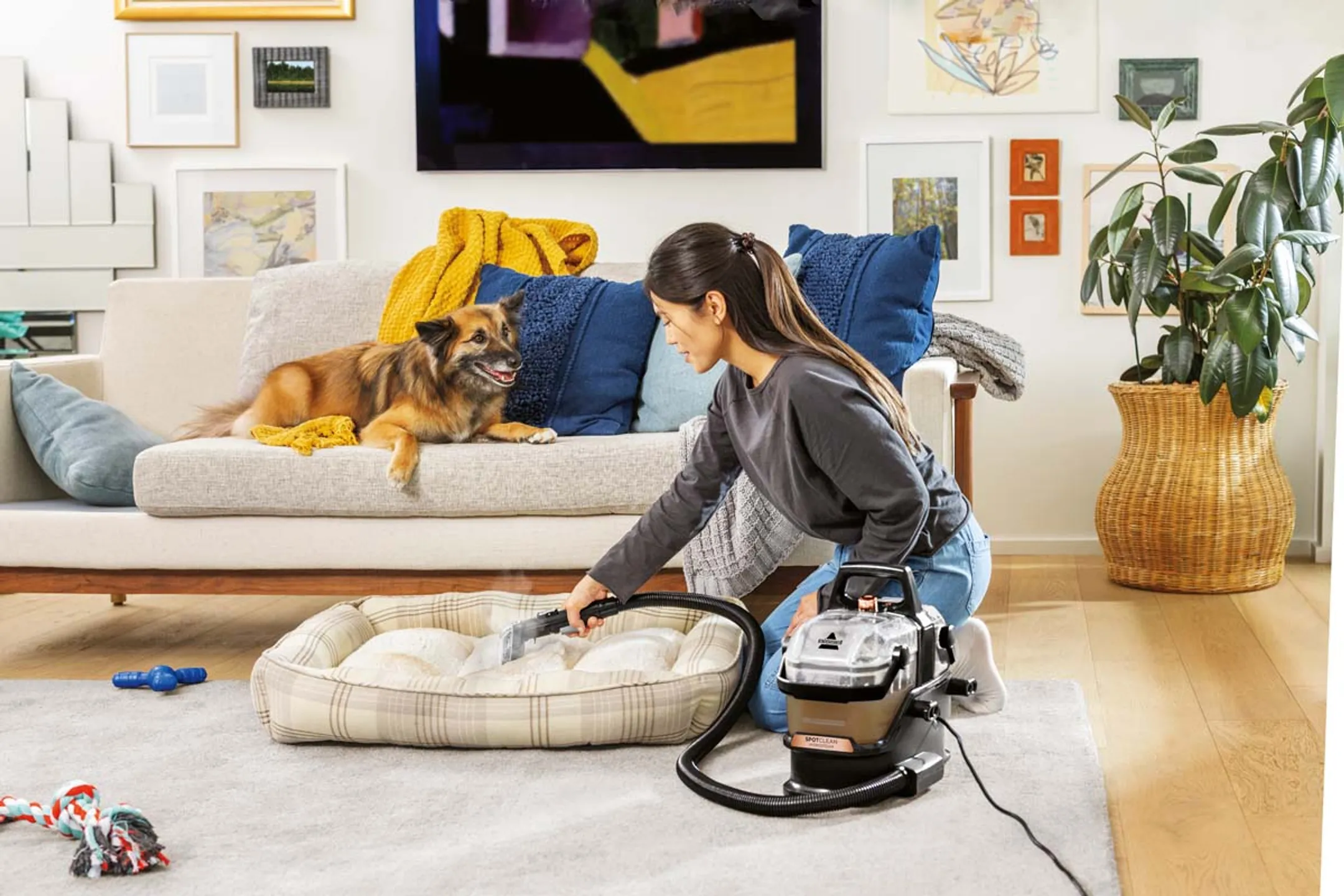 Bissell Tapijtreiniger Spotclean Hydrosteam 3700N