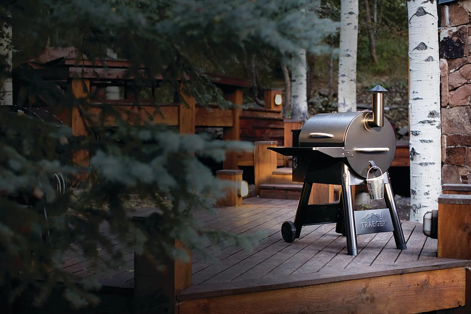 Barbecue et fumoir électrique à granulés de bois Traeger Grills Pro 22, bronze