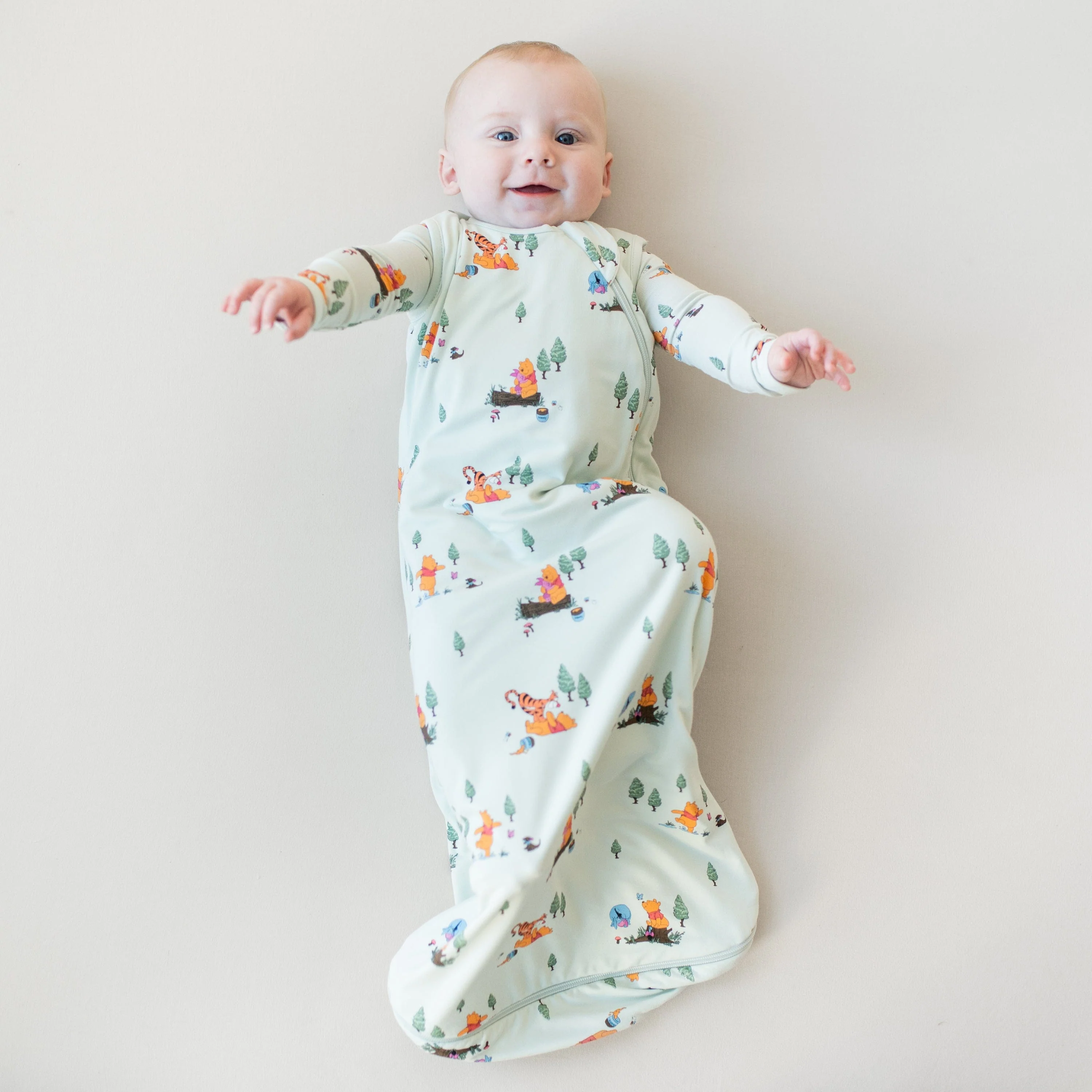 Sleep Bag in Winnie the Pooh Hundred Acre Wood 0.5