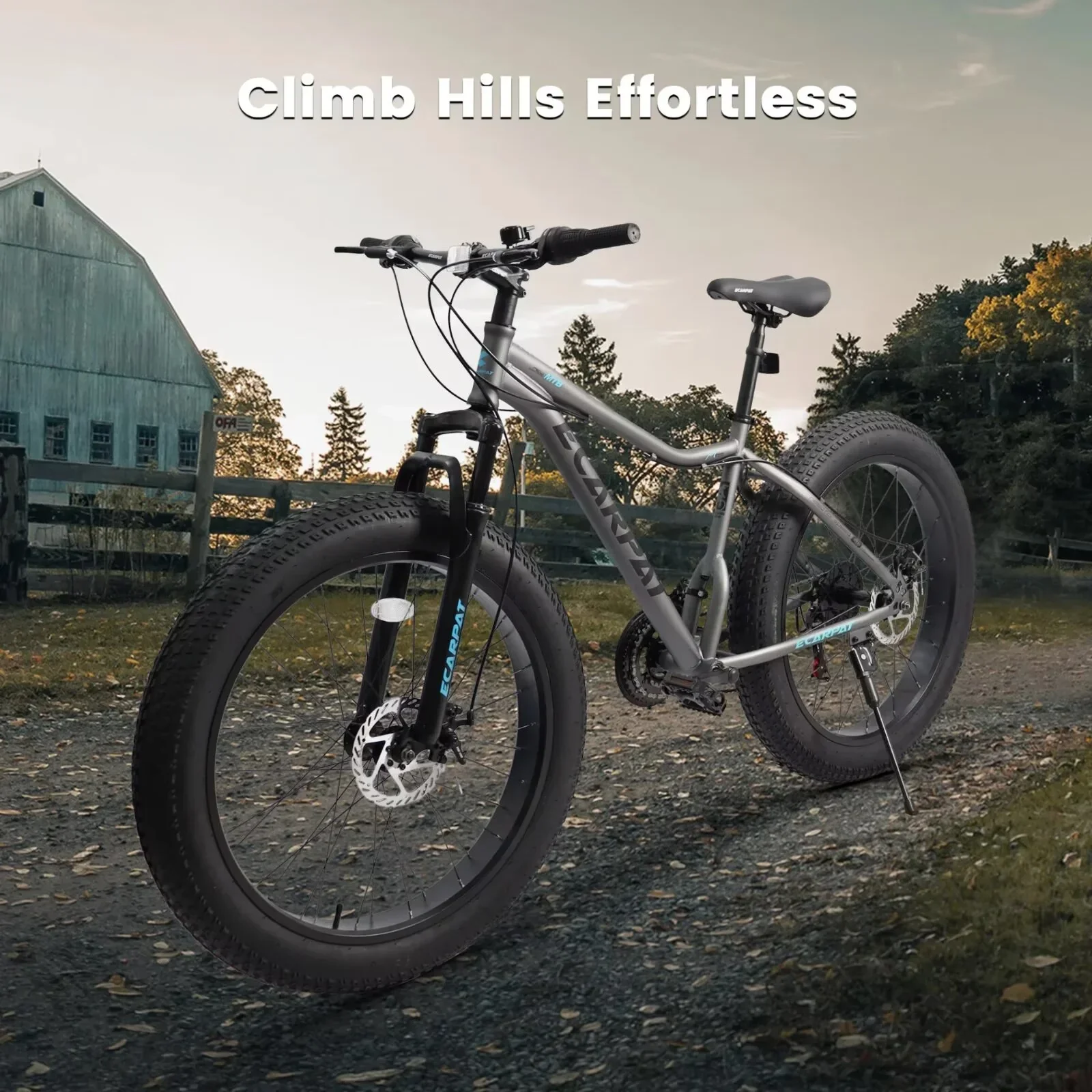 26 Inch Fat Tire Mountain Bike with Dual Disc Brakes, 4 Inch Non-Slip Wide Tires with 21 Speed, High Carbon Steel Frame, Mountain Bicycle for Men and Women, Front Suspension, Gray