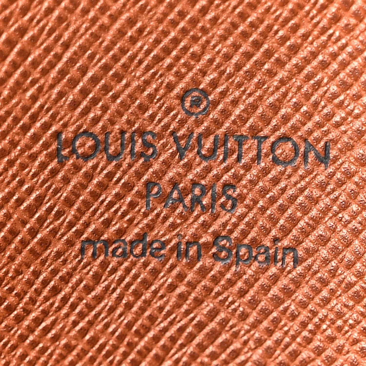 Monogram Musette Salsa