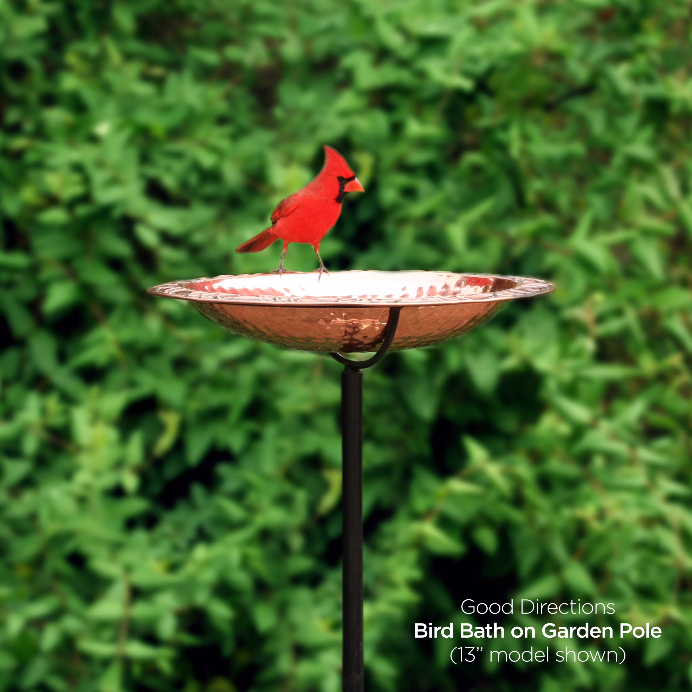 Pure Copper 18 Bird Bath on Garden Pole by Good Directions