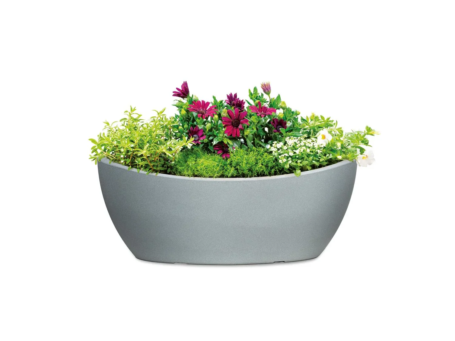 Scheurich Jardinire Wave Globe