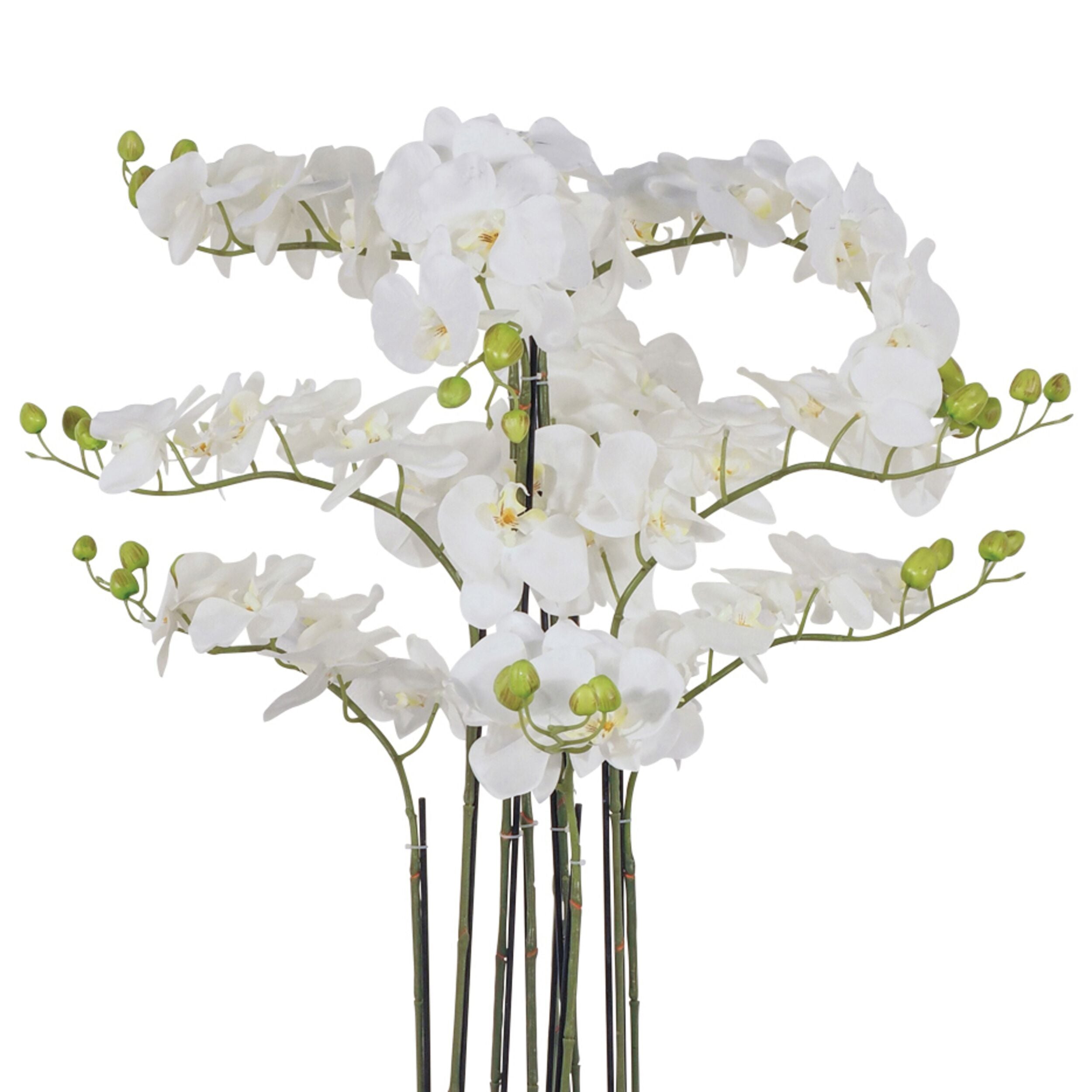 Fiore Orchid 9 Stems 110cm