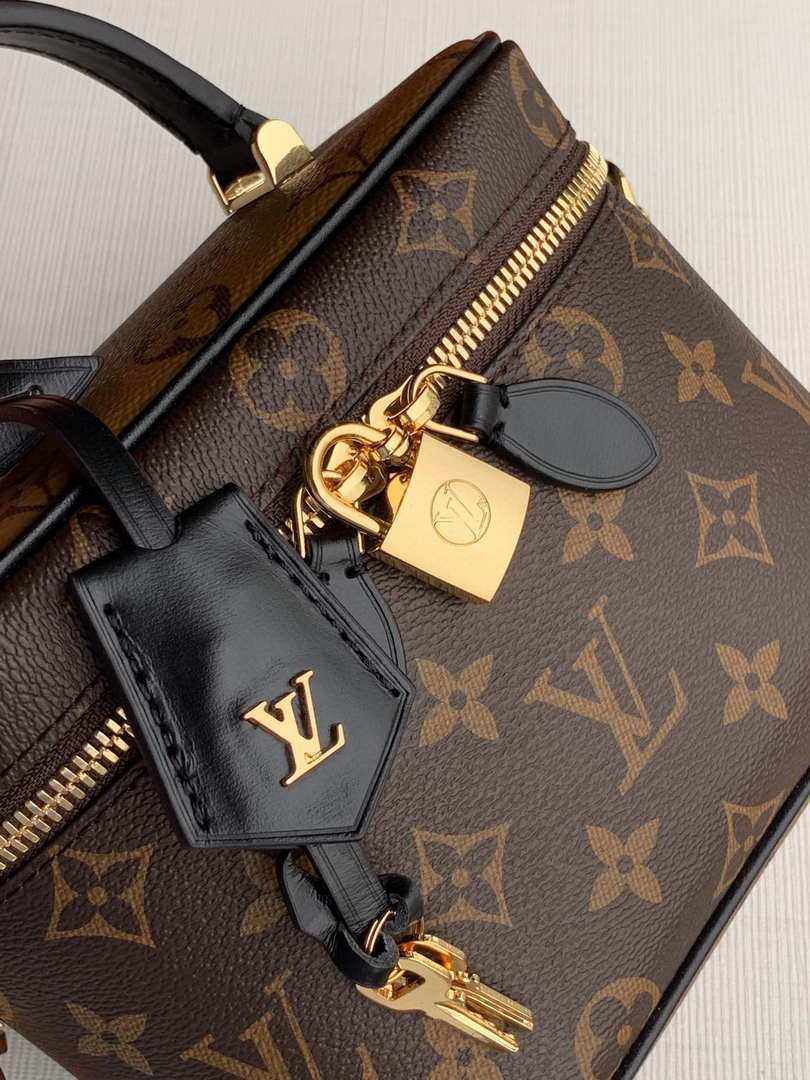 Louis M45165  Vanity Pm Monogram Bag