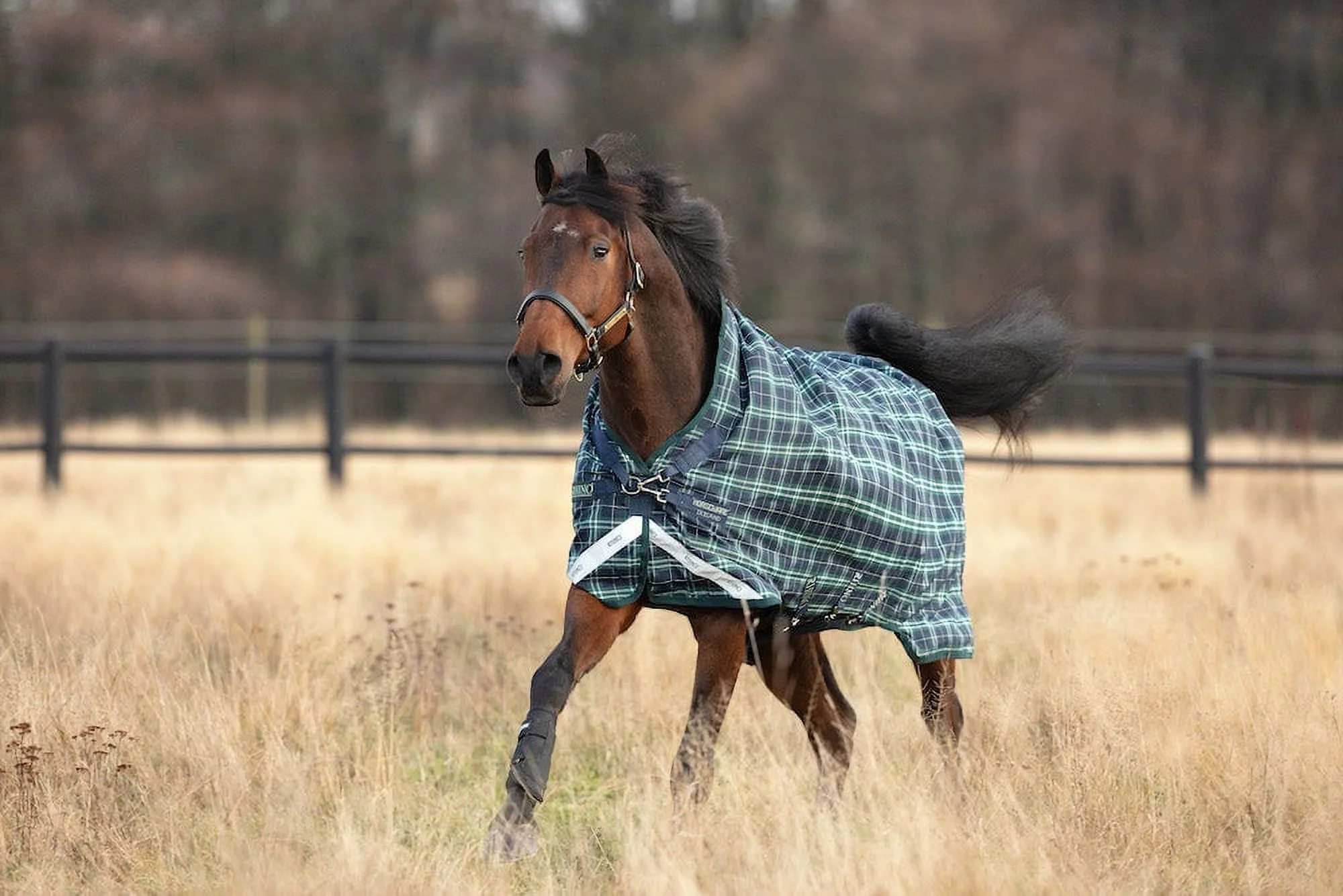 Wug Turnout Blanket 100g 81 Hunter Check(81/Hunter Check) - Image 3