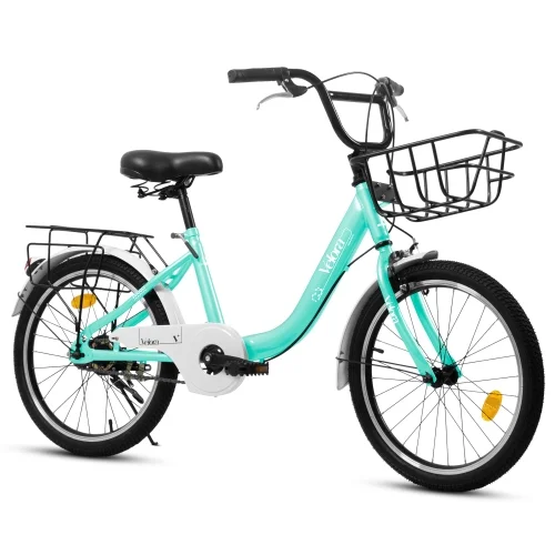 20 Inch Mountain Bicycle with Coaster Brake & V-Brake, 1-Speed, Chain Guard & Rear Rack, Lightweight Steel Frame (Pink, Green, Purple, White)