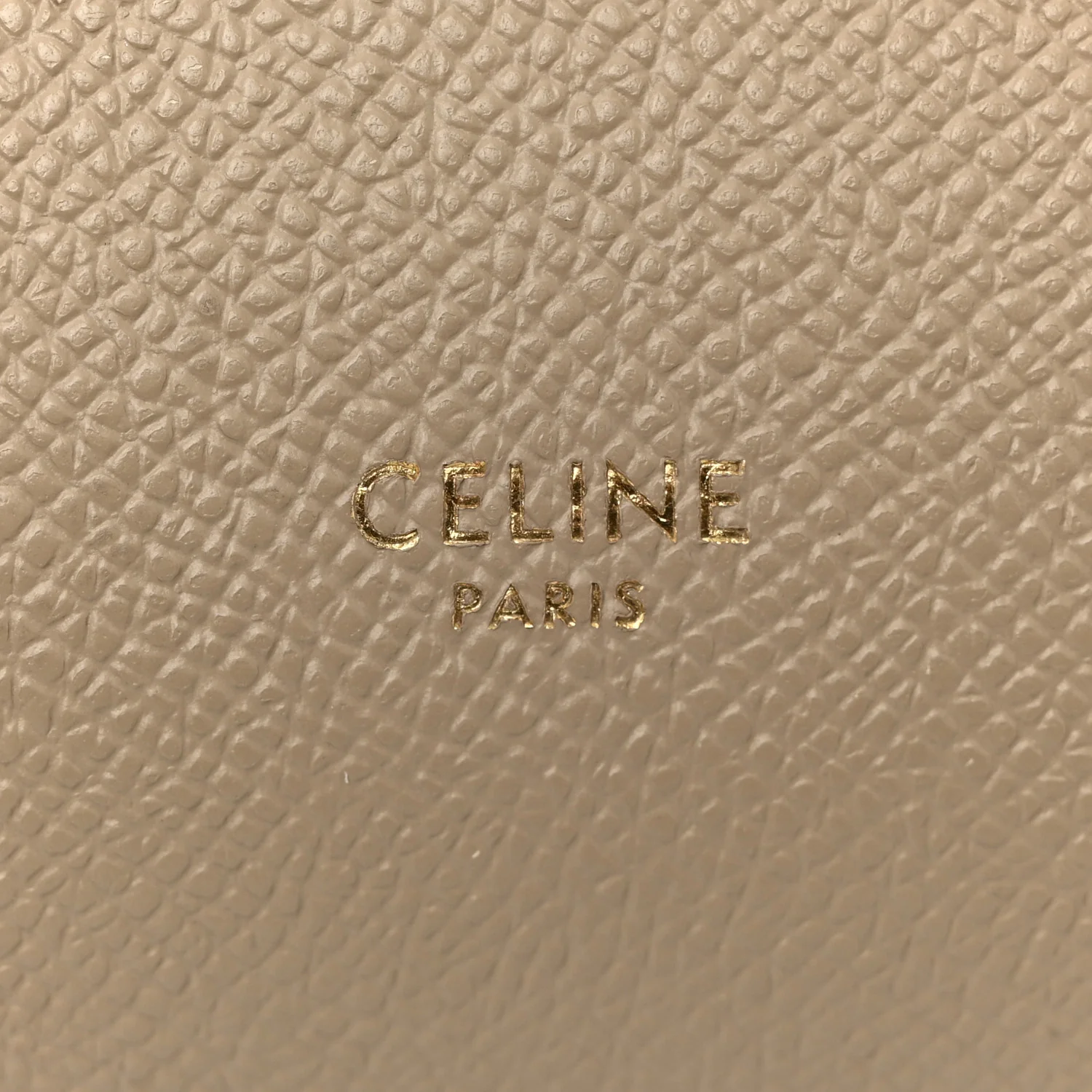 Grained Calfskin Nano Belt Bag Light Taupe