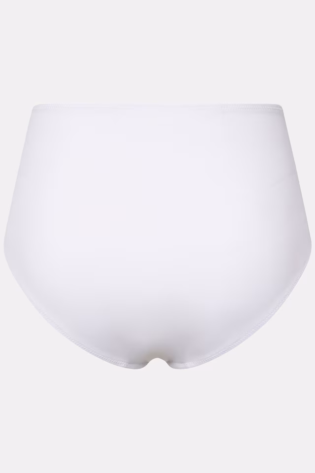 Shaping Mesh Waist Panty