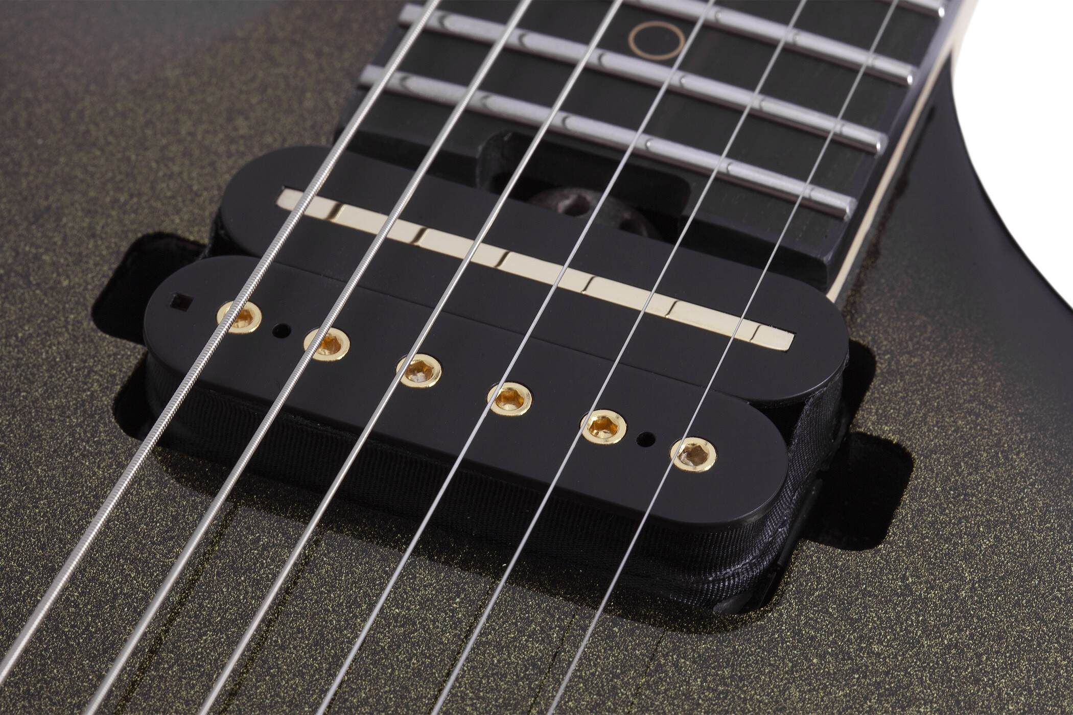 Tempest 50th Anniversary