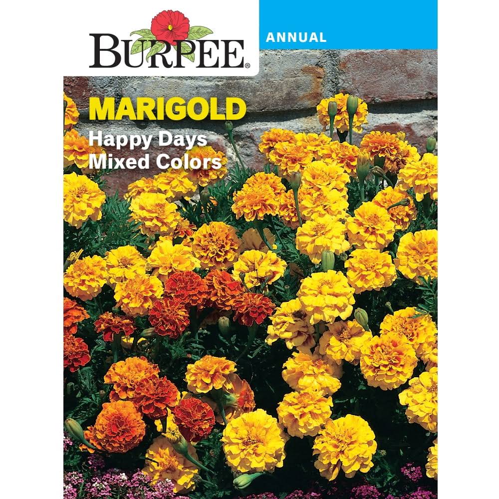 Burpee Happy Days Mixed Colors Marigold Flower Seed - 1 Pack