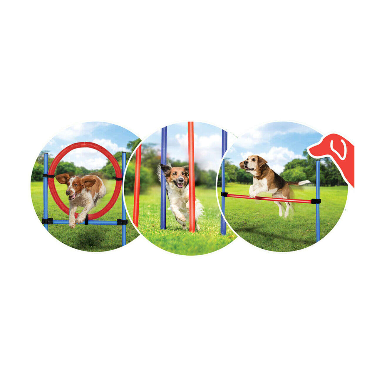 Lot de 5 accessoires d'entraînement pour chien