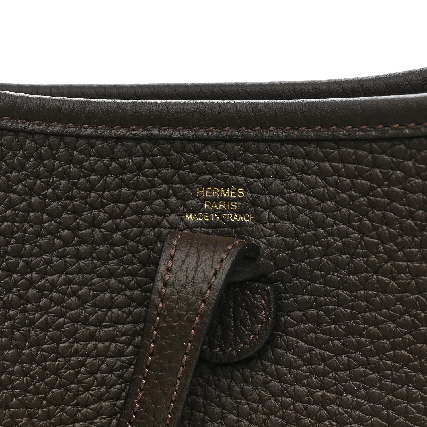 Taurillon Clemence Evelyne TPM Chocolate