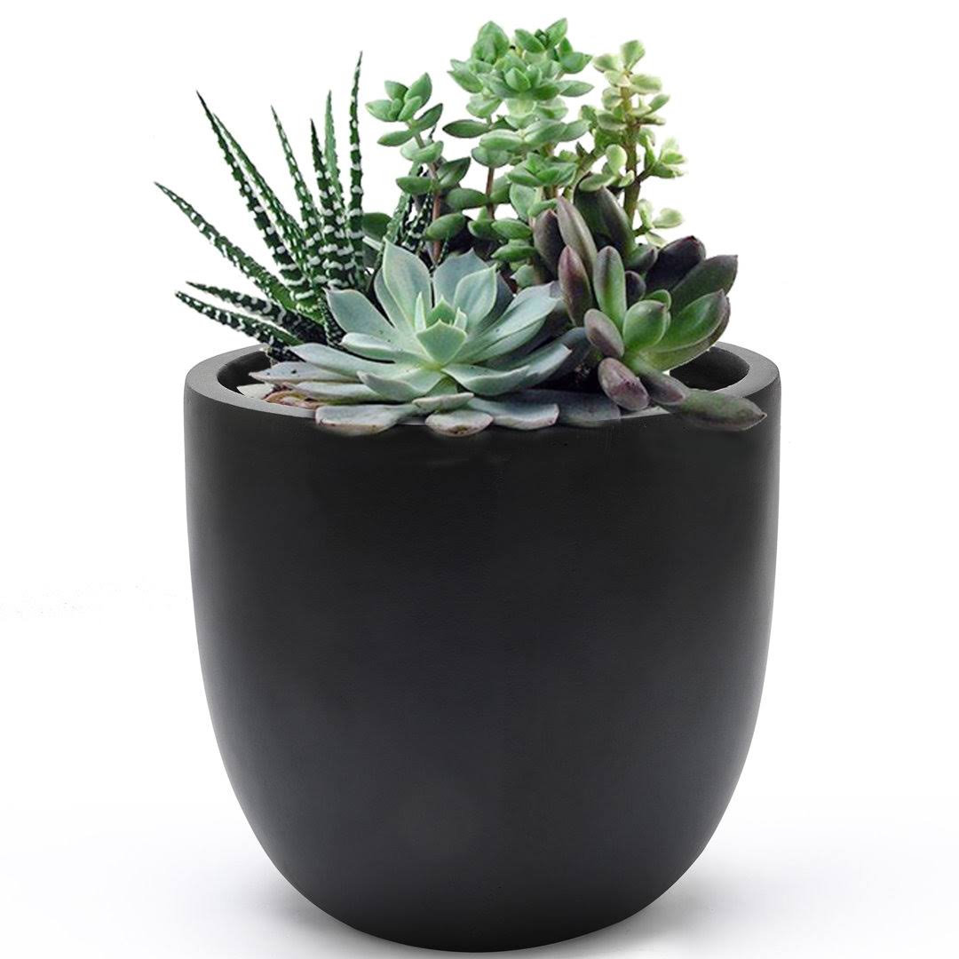 Acushnet Pot Planter Sol 72 Outdoor Color: Black, Size: 9.2