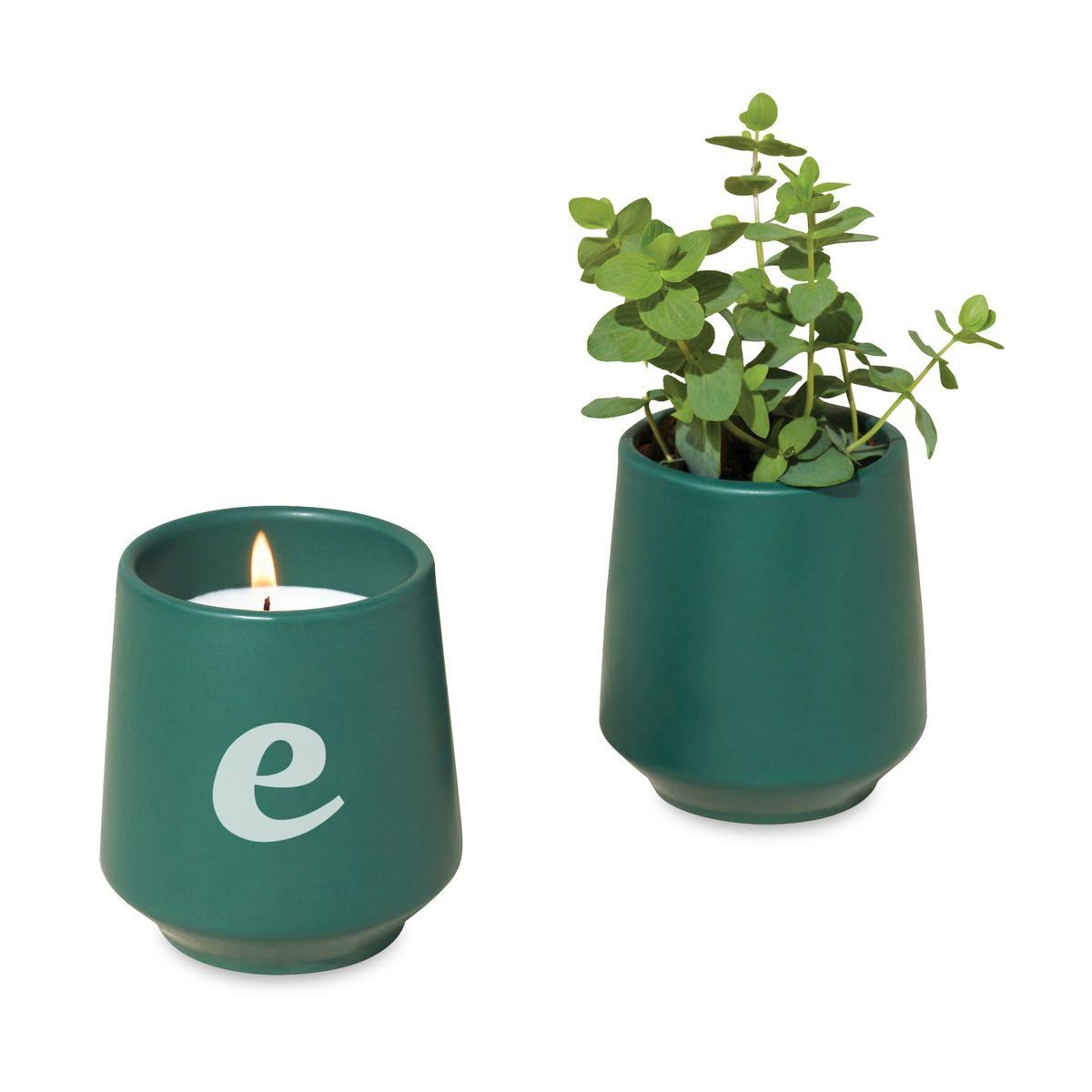 Modern Sprout Rooted Candle - Thyme