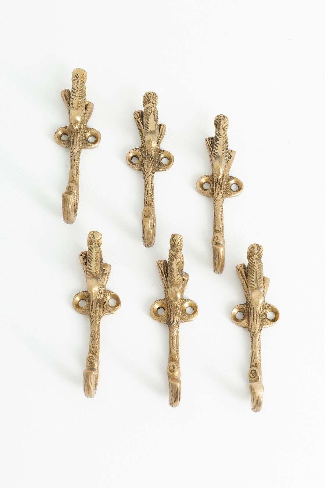 Goudkleurig haakje vogel