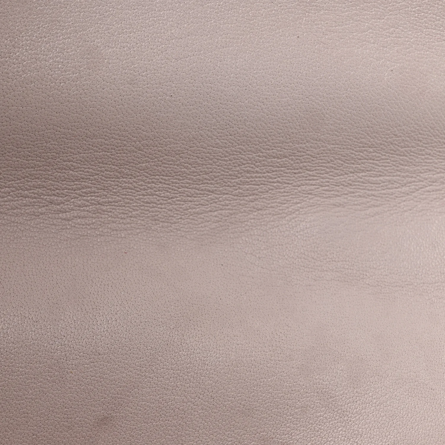 Lambskin Quilted Medium Chanel 19 Flap Light Pink