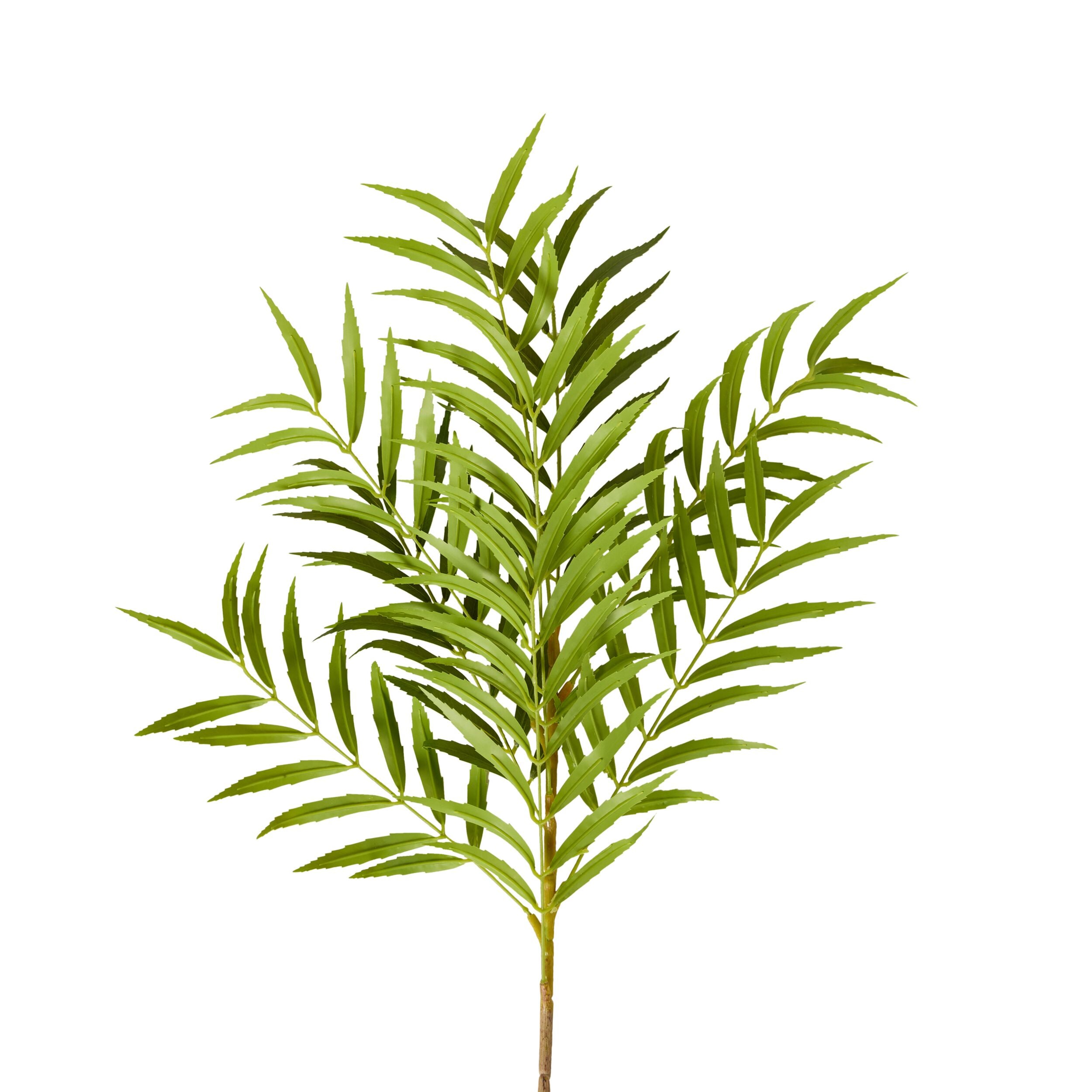 Bloomery Fern Palm Stem 99cm