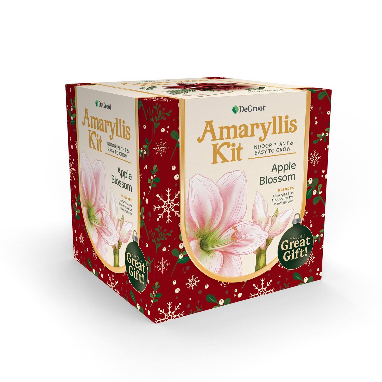 Degroot AY912A00 Amaryllis Flower Gift Box Bulb Kit