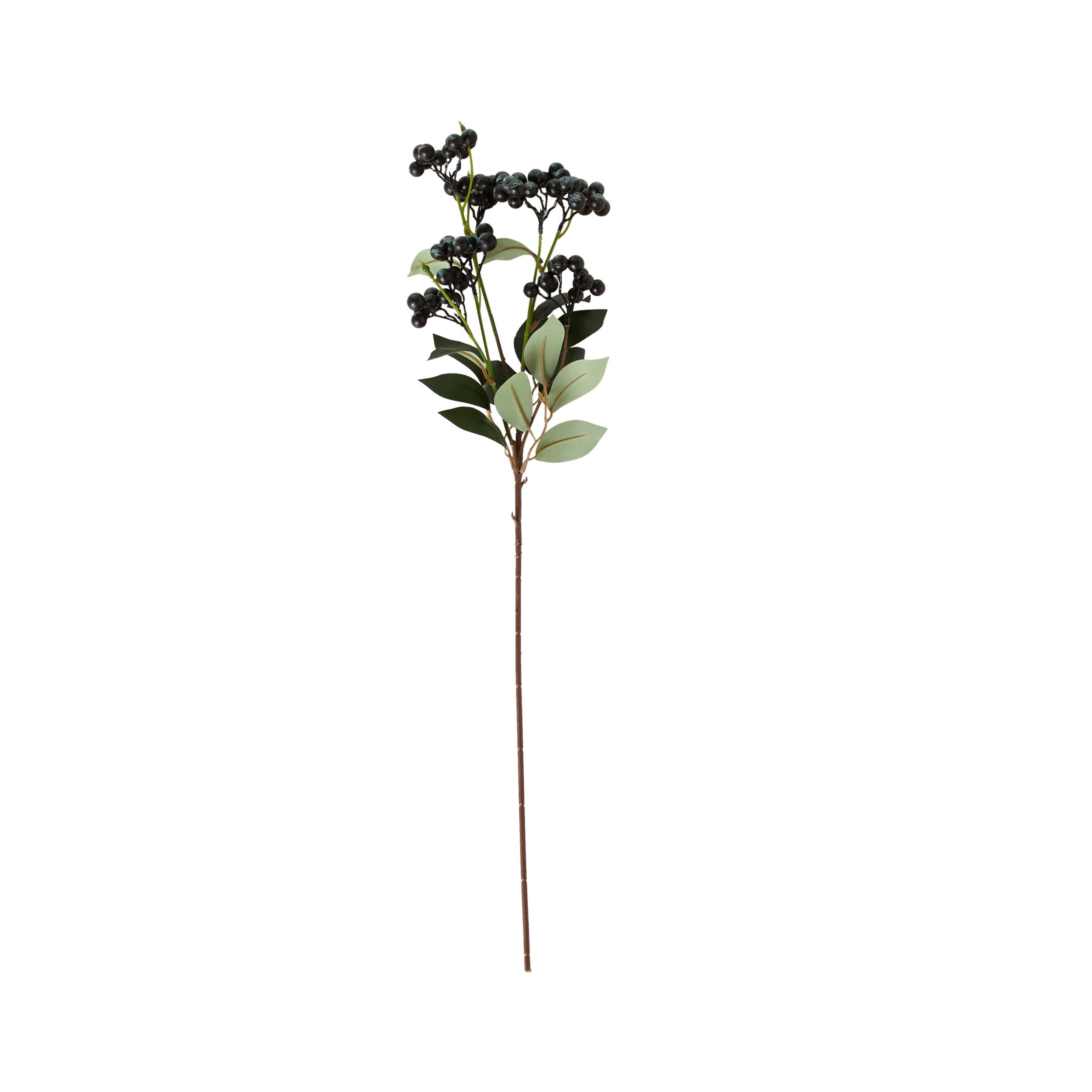 Bloomery Privet Berry Stem 69cm