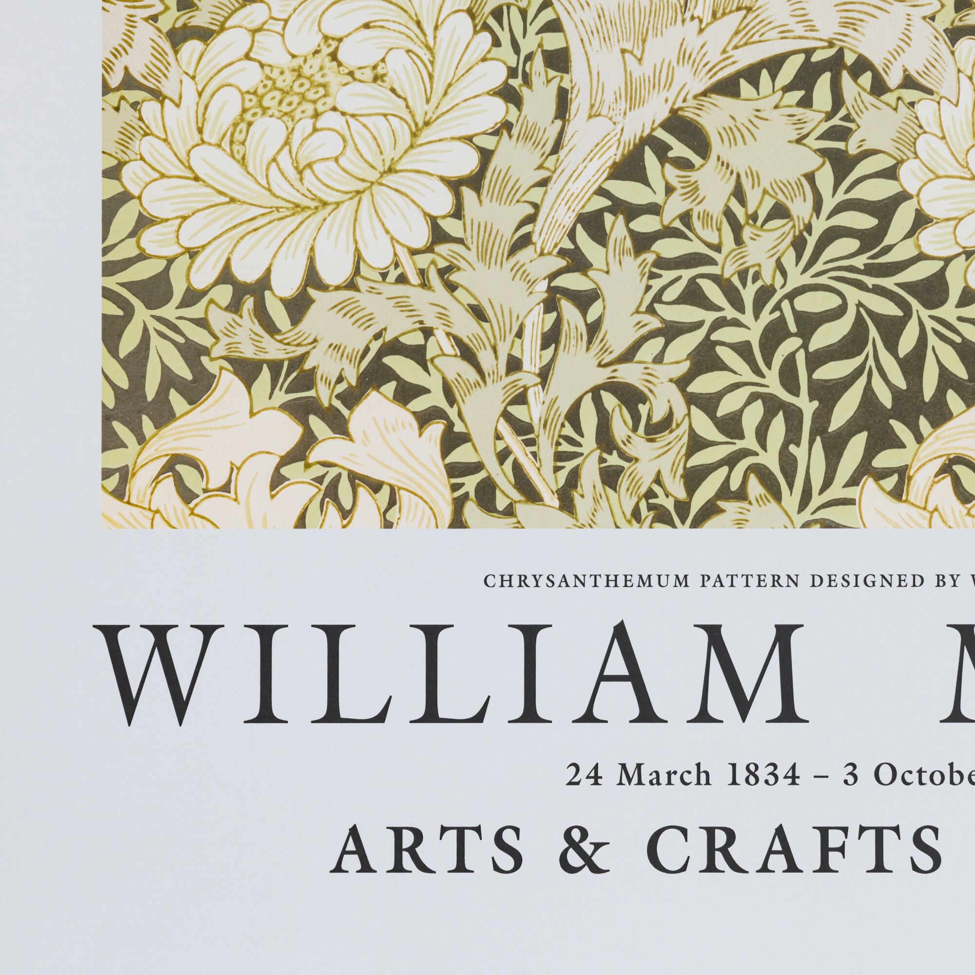 MORRIS FLEURS - Affiche chrysanthèmes 50x70cm - vert garrigue