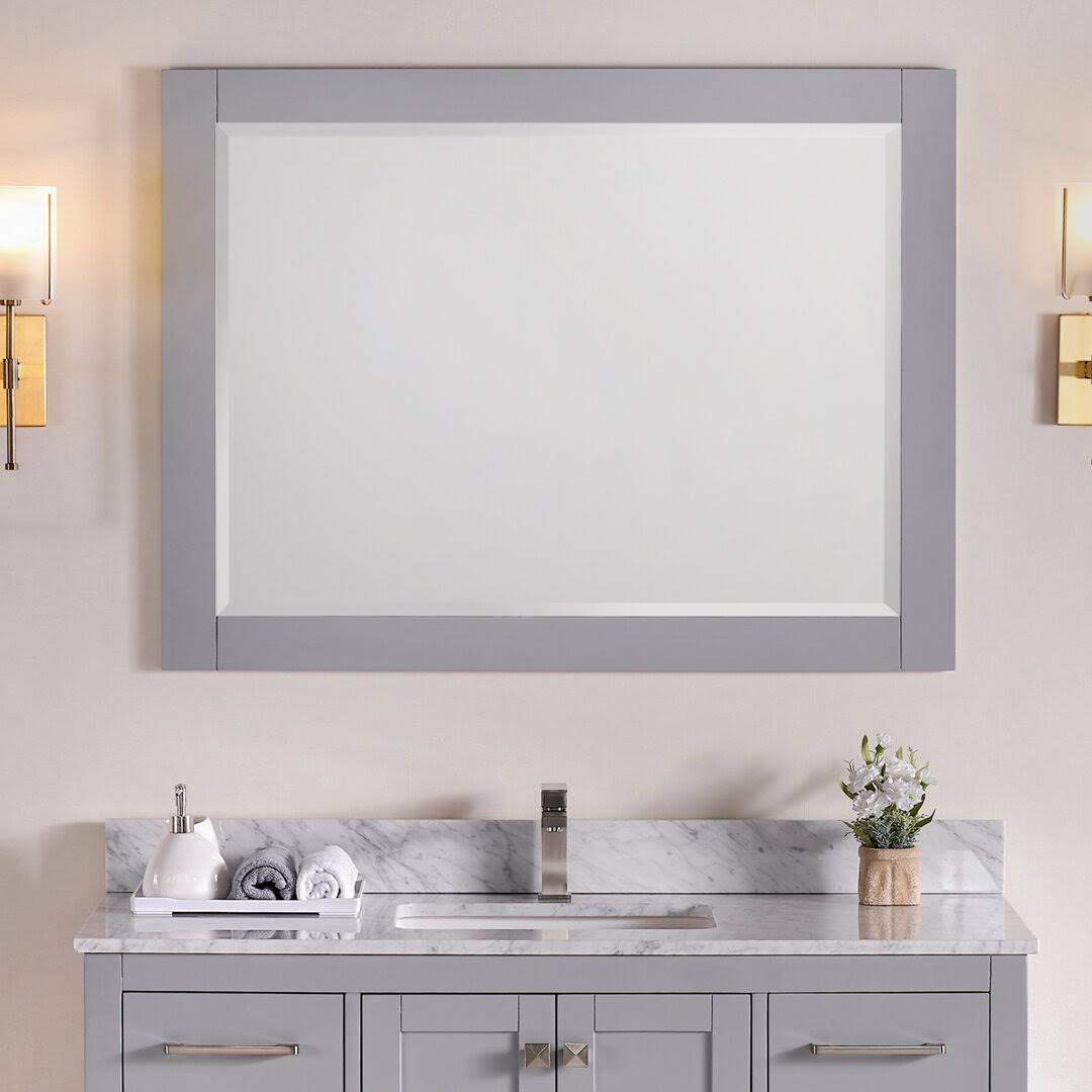 Aalayah Bathrrom / Vanity Mirror Latitude Run Finish: Empire Gray, Size: 46