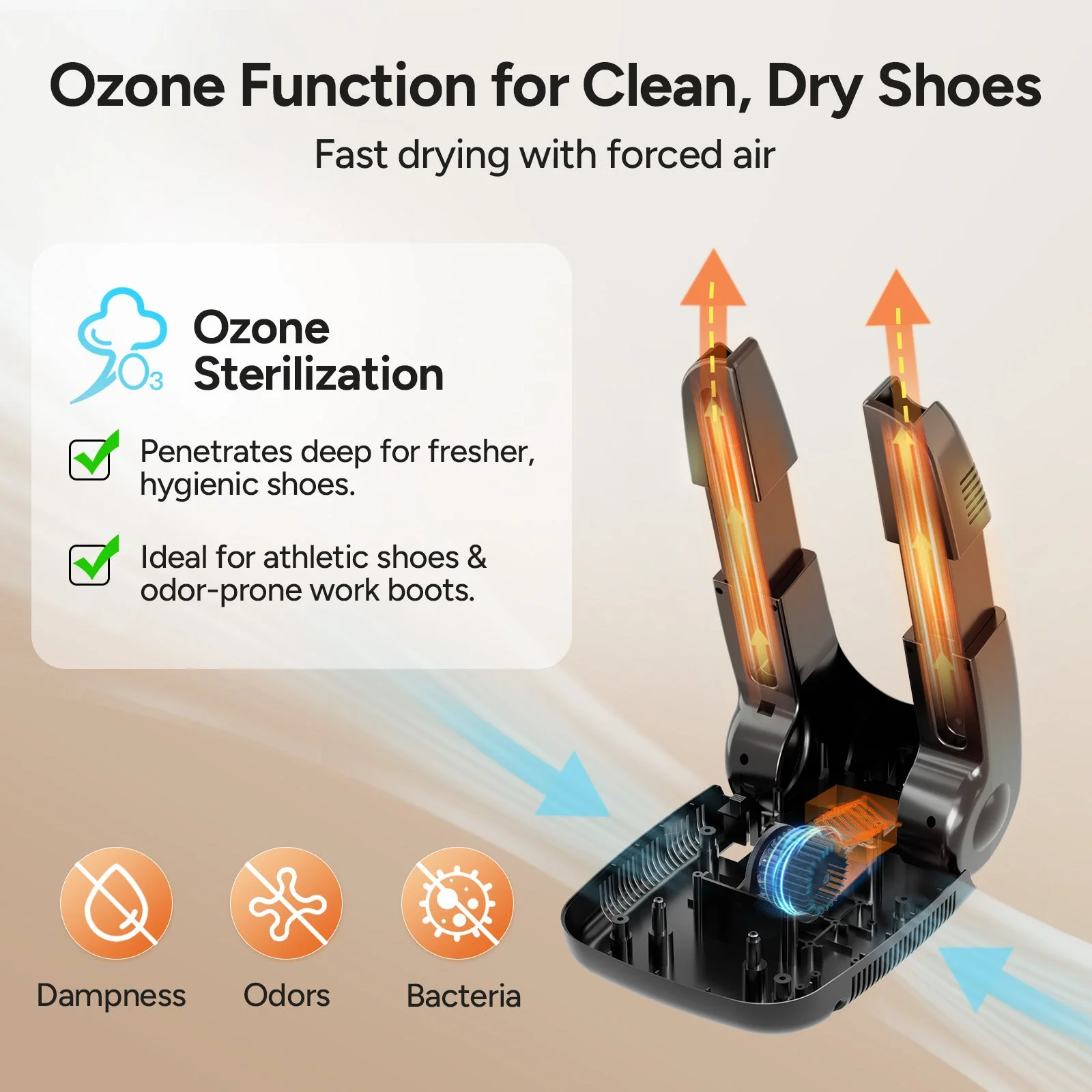 Shoe Dryer with Ozone Function