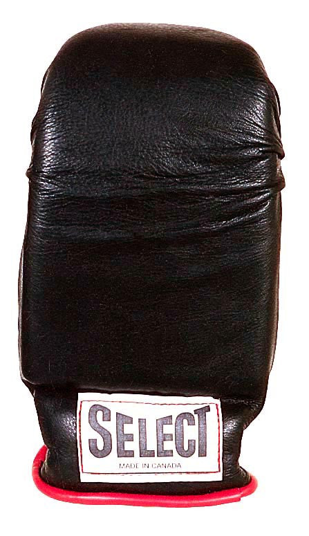 Select Training Curved Mits