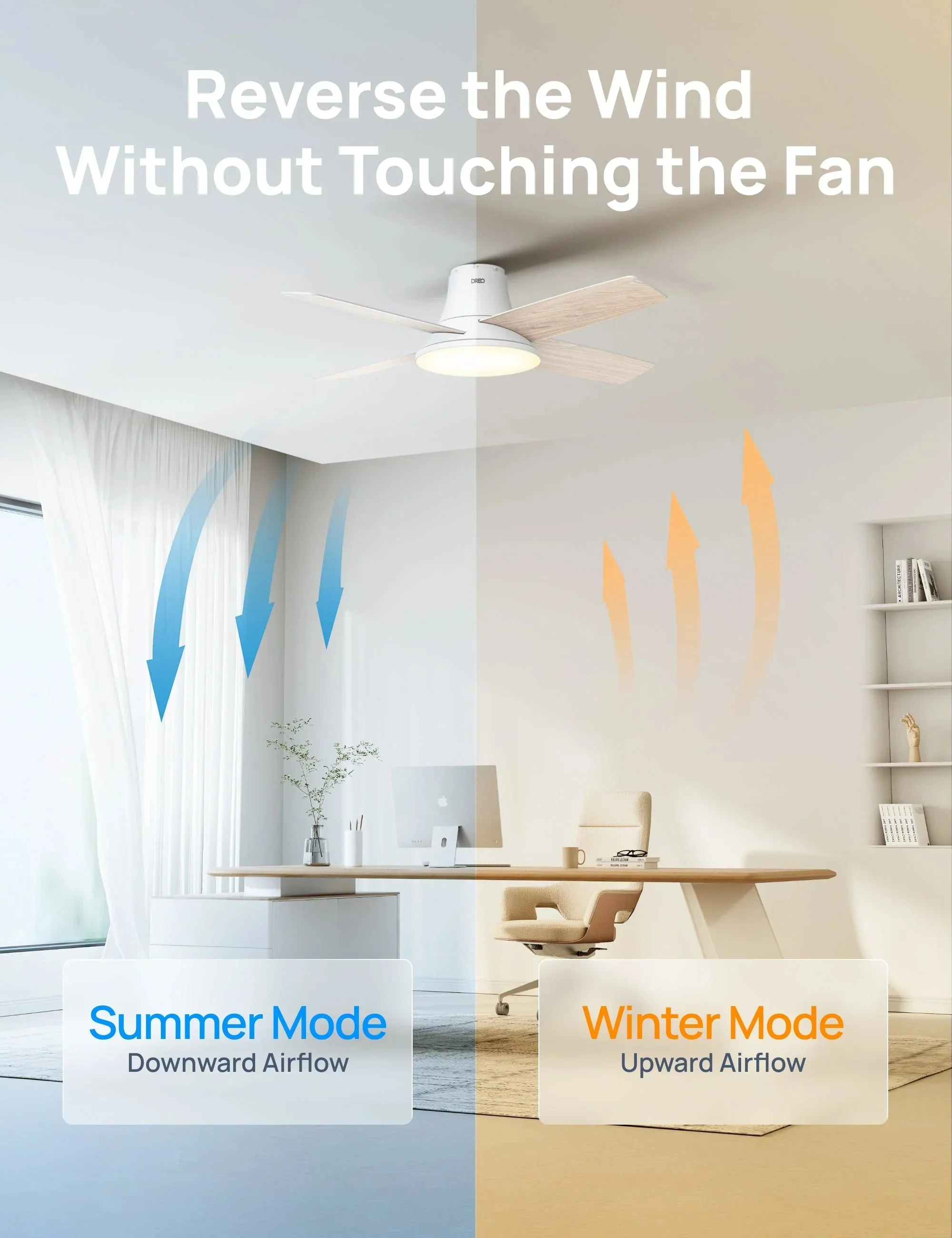 Ceiling Fan 513