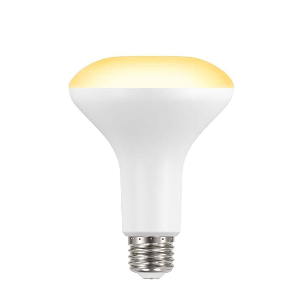 Ecosmart 90-Watt Equivalent BR30 Dimmable LED Light Bulb Soft White (2-Pack)