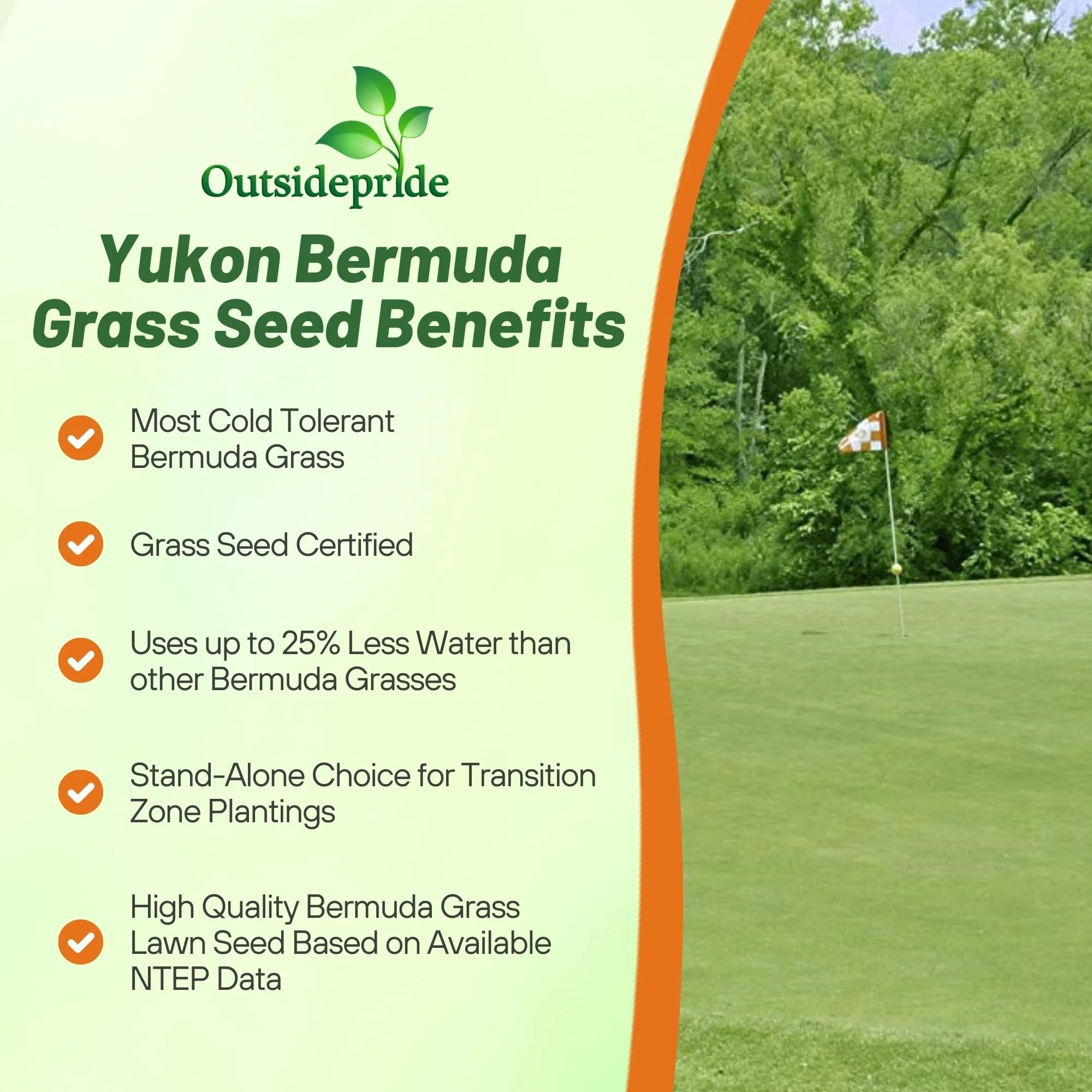 Yukon Bermuda Grass Seed 5 lbs Cold High Traffic Tolerant, Premium Hybrid Bermuda Turf Grass Seeds for Lawn, Ideal Low Maintenance Seed Grass for Colder Challenging Area(5 lbs) - Image 5
