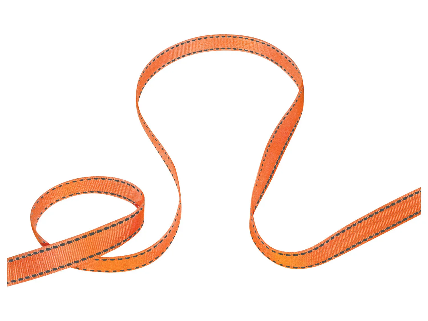 zoofari Laisse extensible XL, 10 m