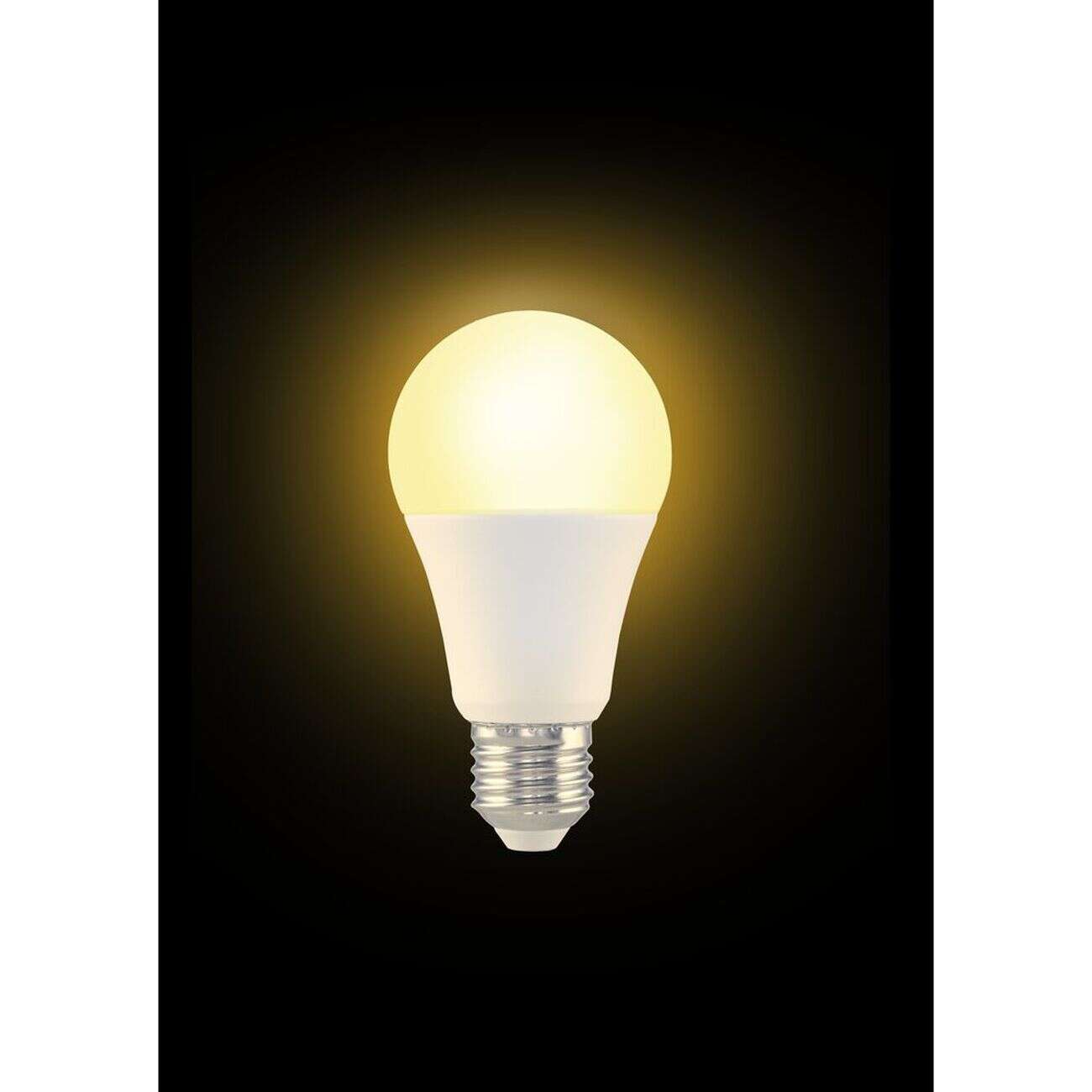 Ampoule LED E27 A60 blanc chaud 11W=70W 1055lms classe F