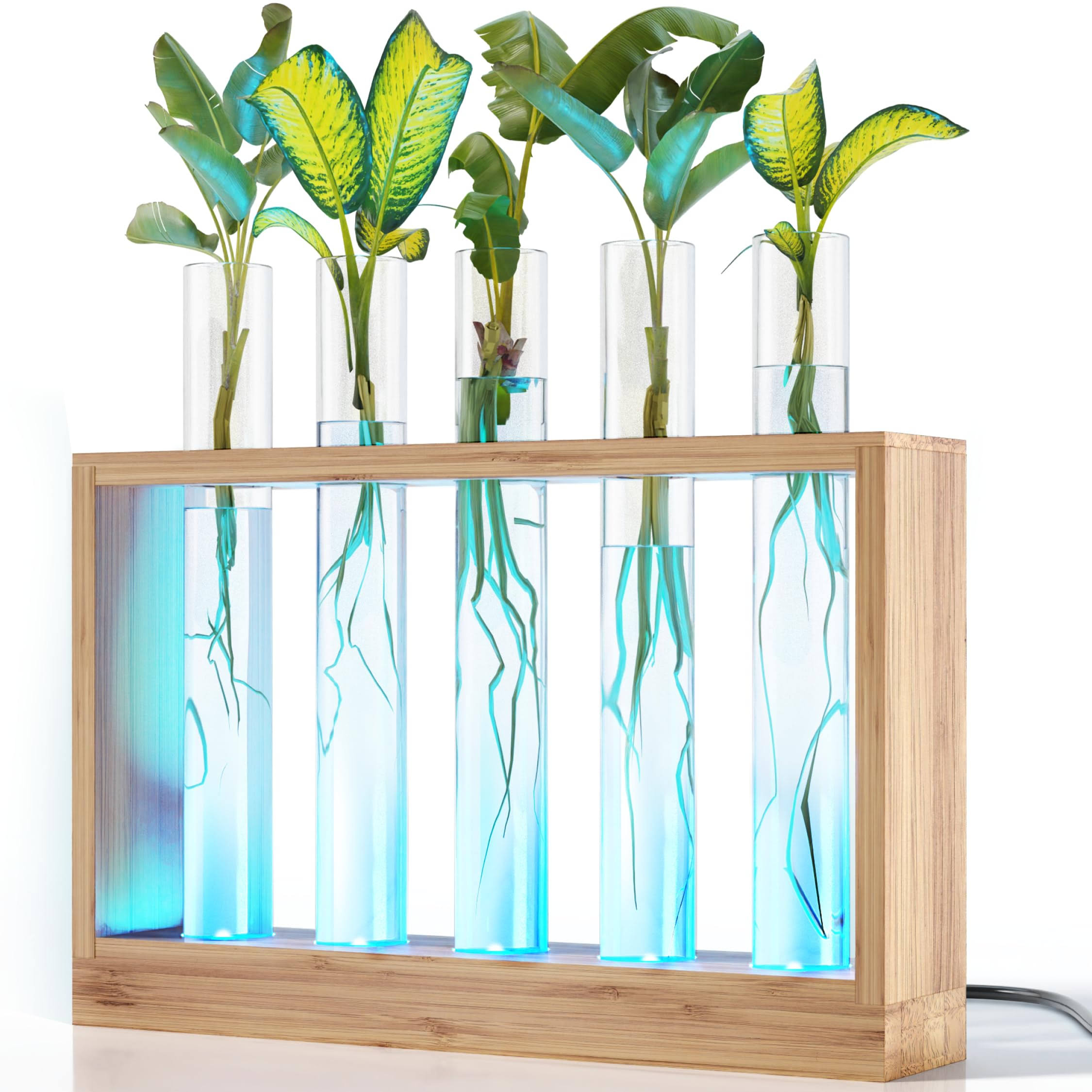 Light Up Bamboo Vial Air Planter - Plant Lover Easter Gifts for Women, Best Indoor Gardening House Warming Gift Ideas, Office New Home Decor, Mom,